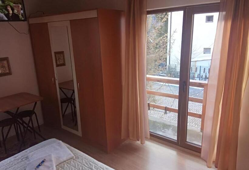 ペンション Casa Alexandru