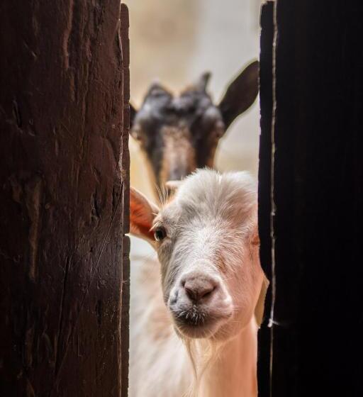 بنسيون Corte Bagnetta