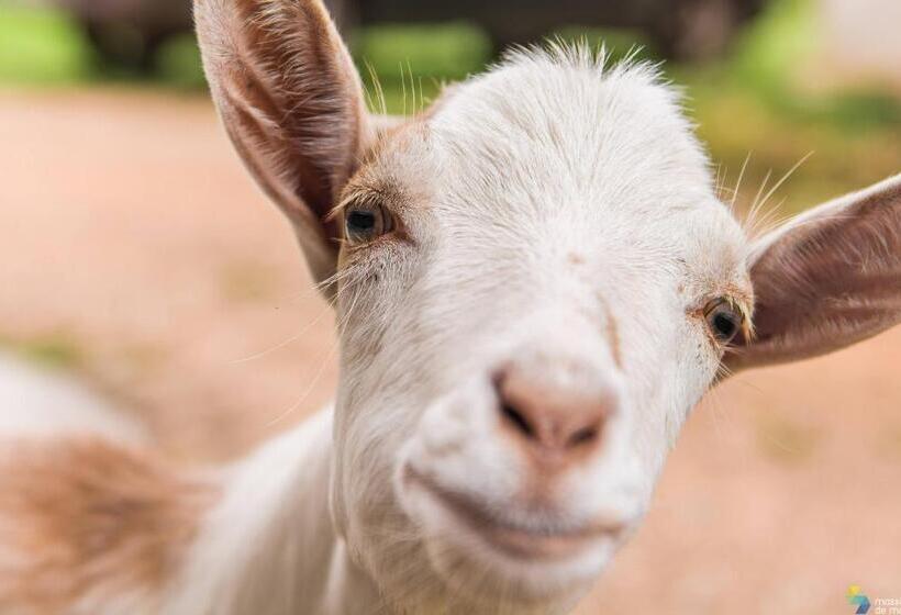 بنسيون Corte Bagnetta