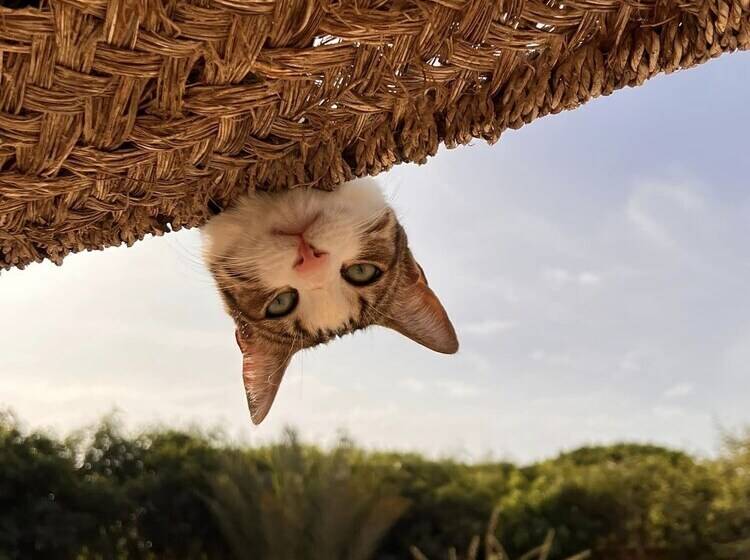 بنسيون Dar Tawarta