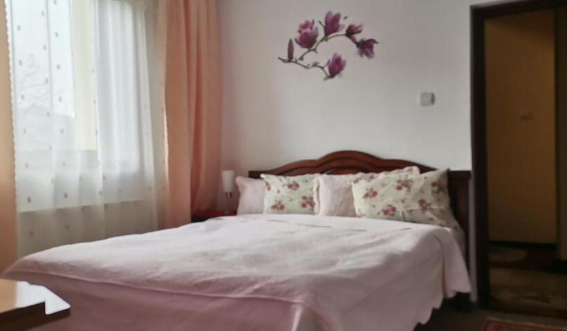 بنسيون Flori De Bucovina