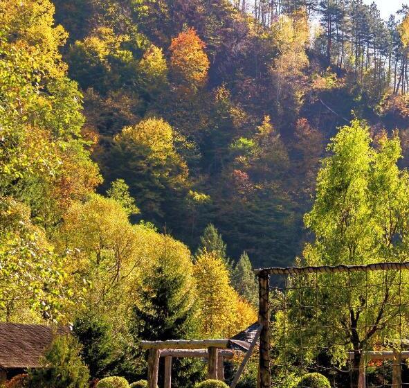 بنسيون Frații Jderi Utopia Verde