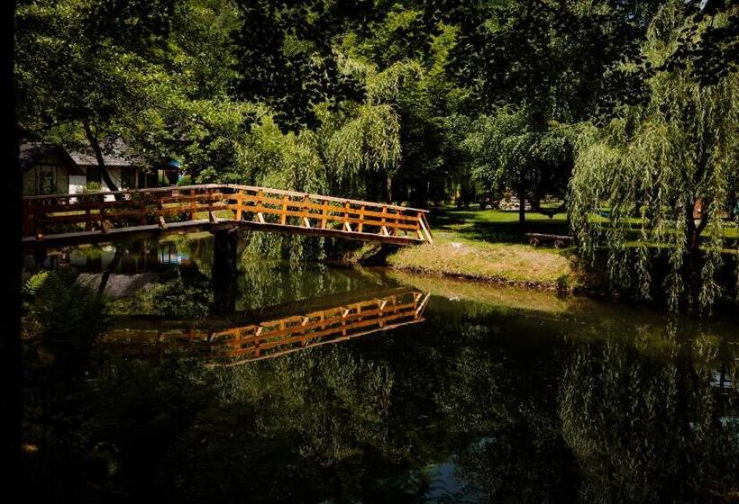 پانسیون Frații Jderi   Utopia Verde