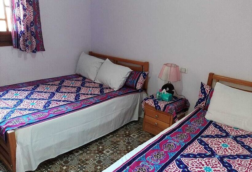 پانسیون Gohar Guest House