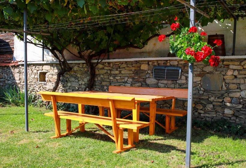 פנסיון Guest House Dorkos