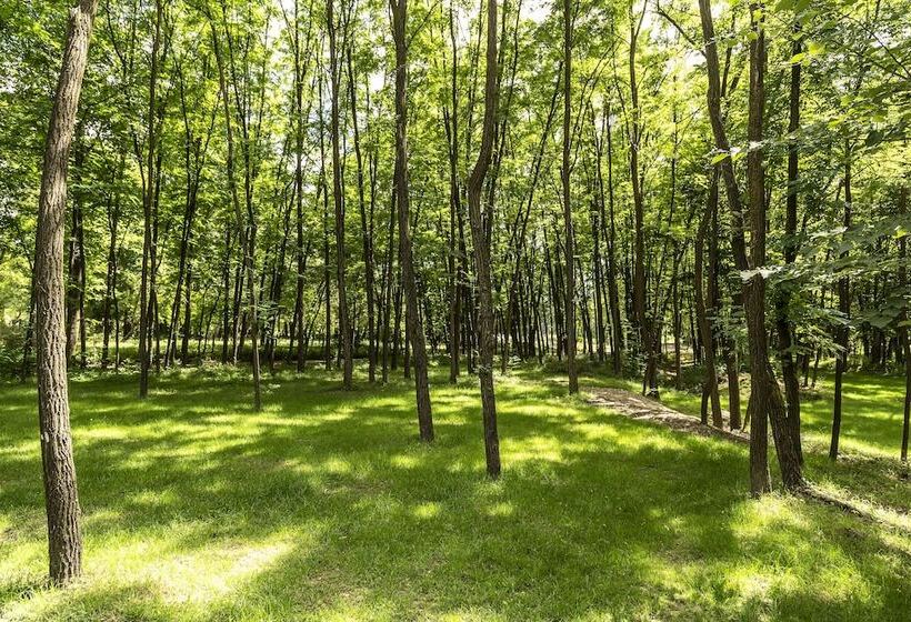 ペンション Hanul Vatra