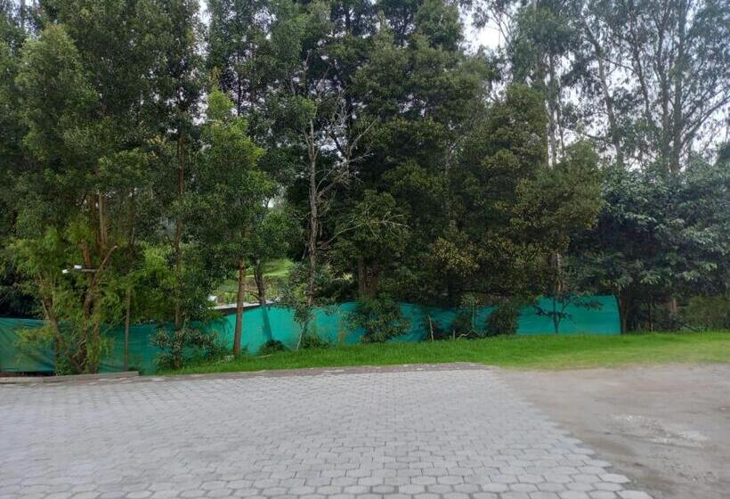 بنسيون Hostal Aventura