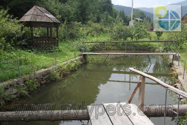 Pensão гiрська роса