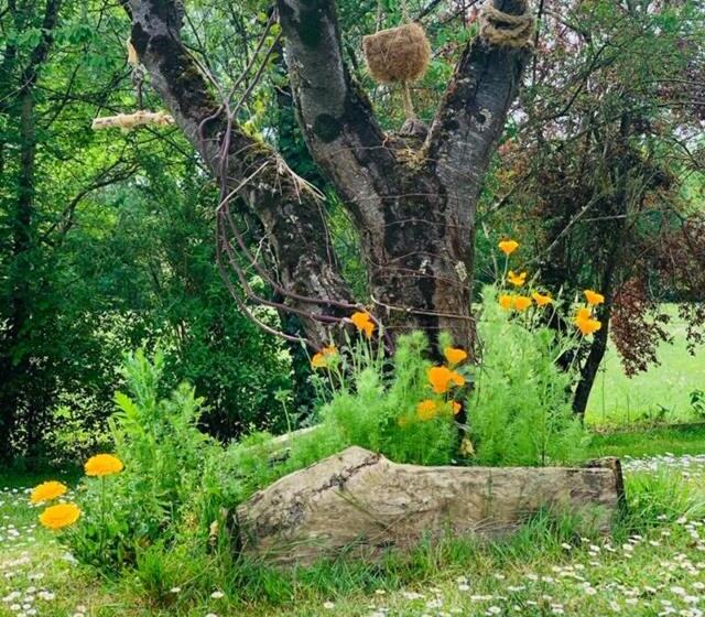 פנסיון La Maison D  Hote Du Fond Du Riu