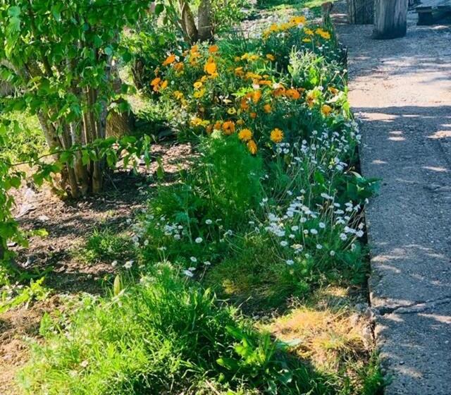 פנסיון La Maison D  Hote Du Fond Du Riu