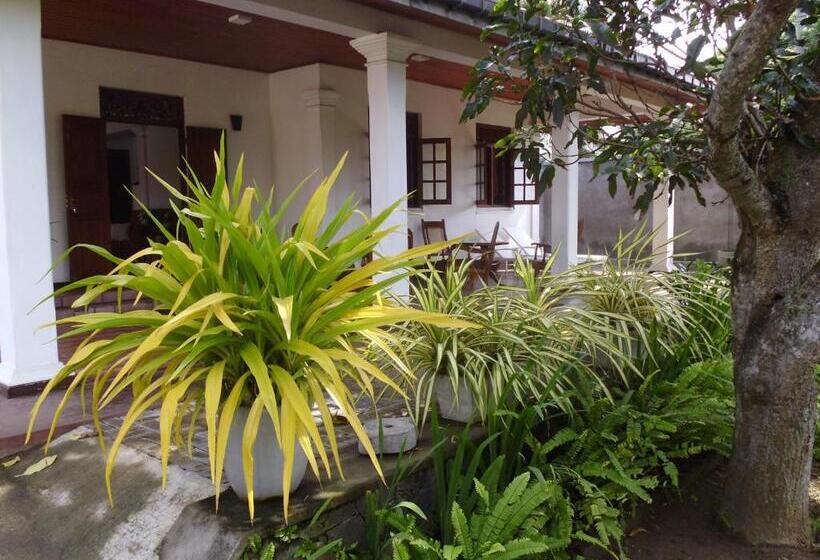 פנסיון Shalome Villa