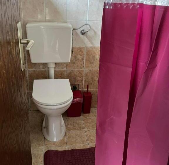 پانسیون Ski Center House Mavrovo