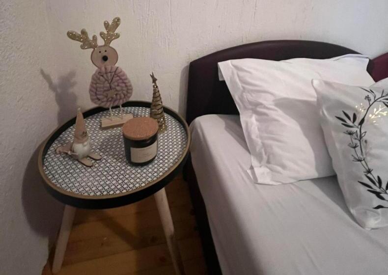 پانسیون Ski Center House Mavrovo