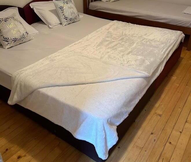 پانسیون Ski Center House Mavrovo