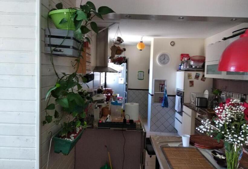 بنسيون Suite Au Dernier étage D Un Triplex