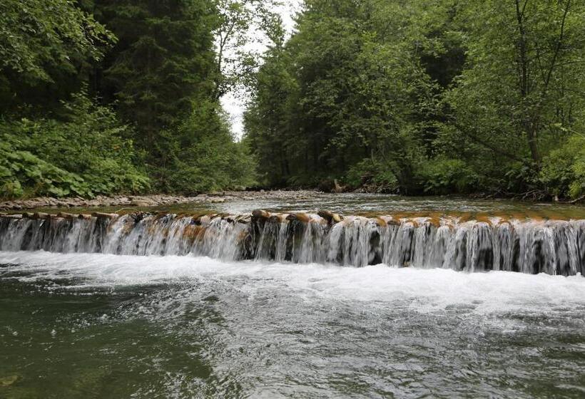 פנסיון Vila Evergreen