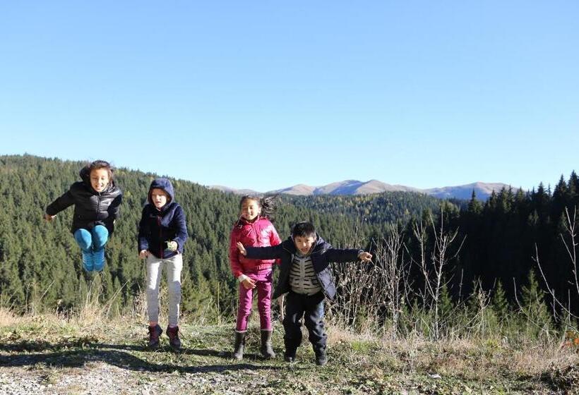 פנסיון Vila Evergreen