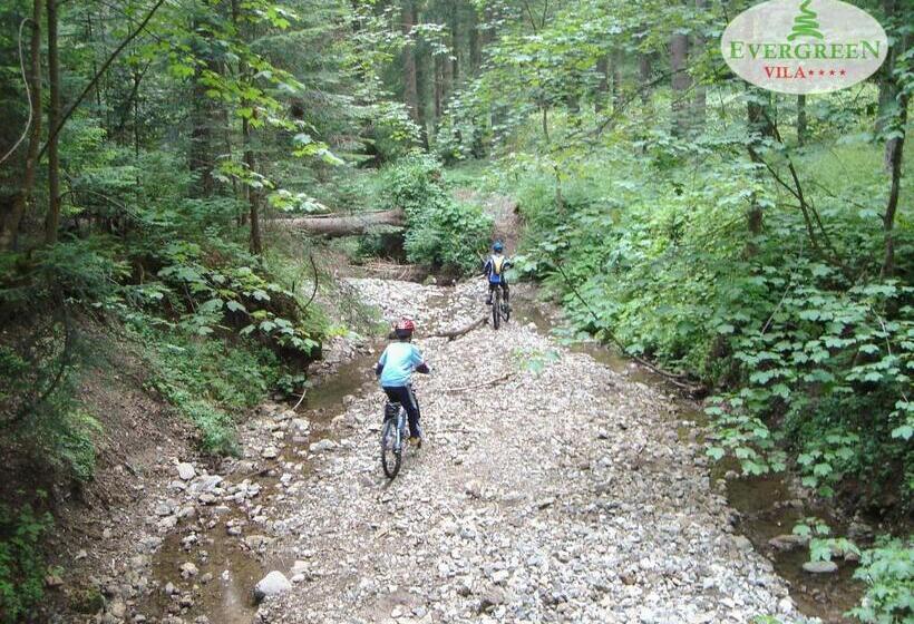 بنسيون Vila Evergreen