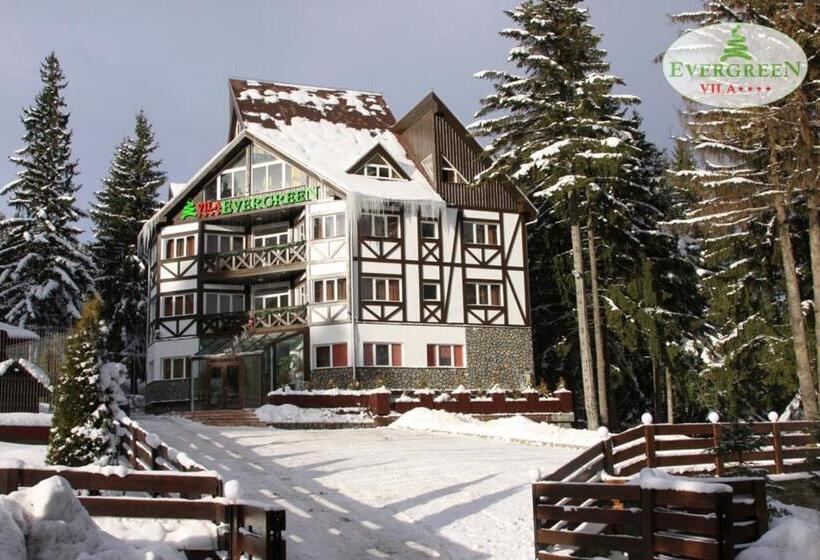 פנסיון Vila Evergreen