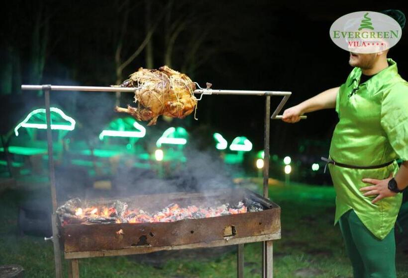 פנסיון Vila Evergreen