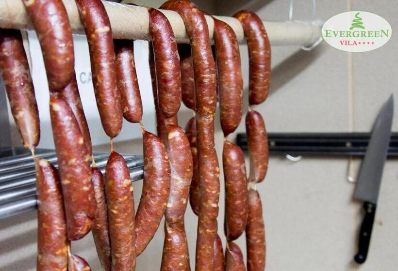 بنسيون Vila Evergreen