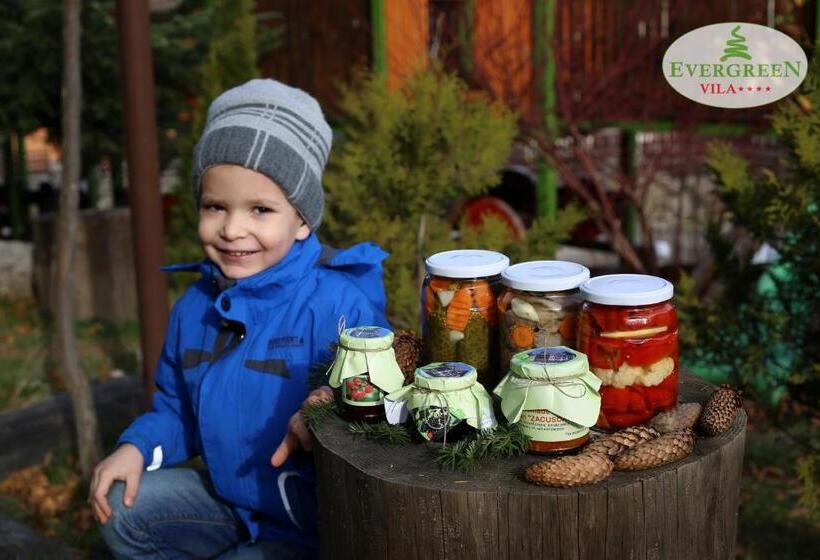 פנסיון Vila Evergreen