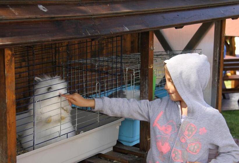 بنسيون Vila Evergreen