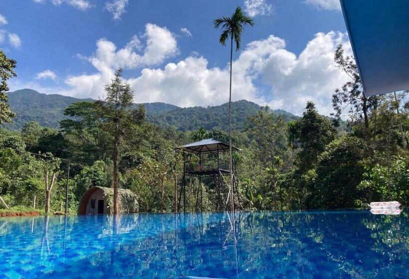 Пансион Wild Brooke Hut