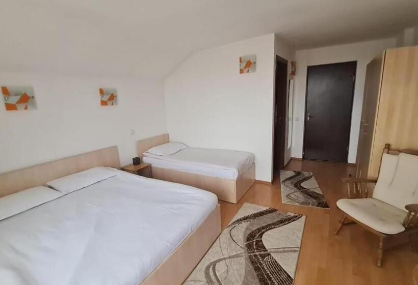 Pensiunea Runcu Stone