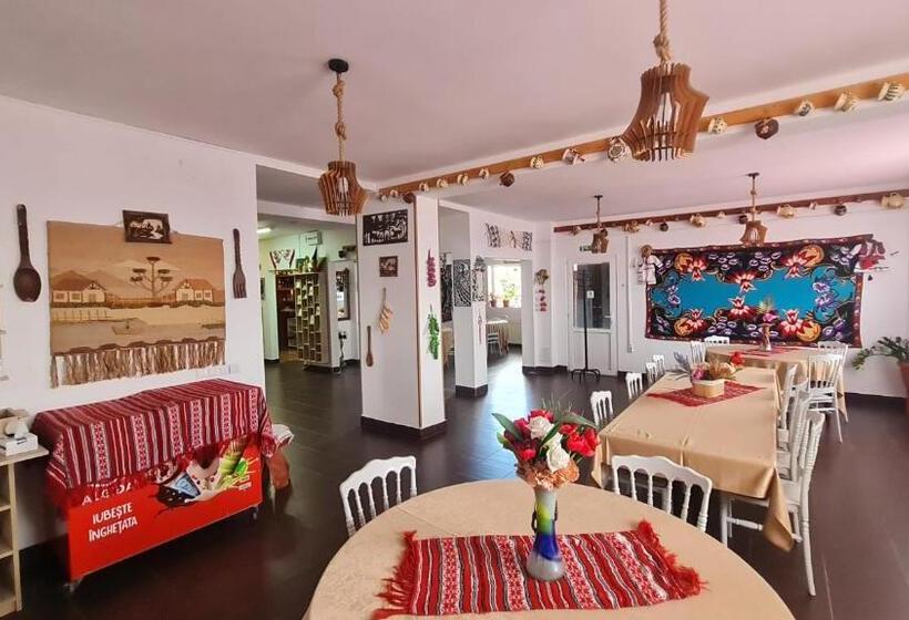 Pensiunea Runcu Stone