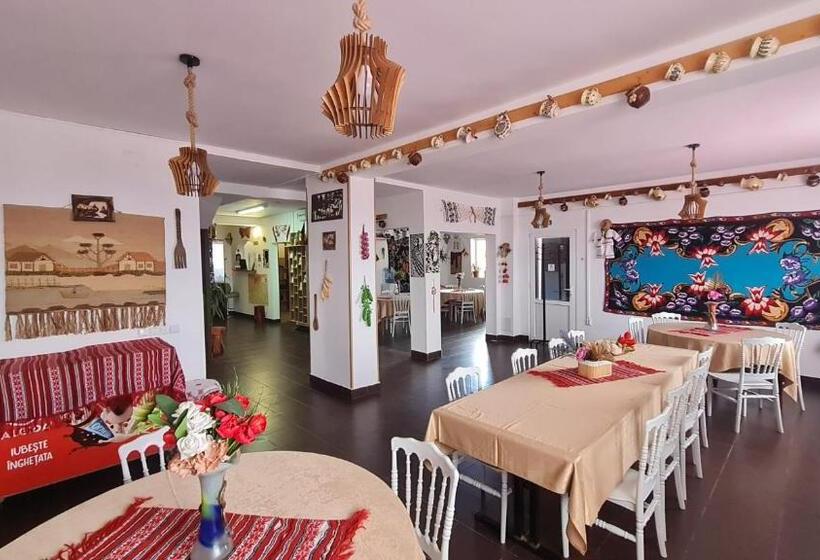 Pensiunea Runcu Stone