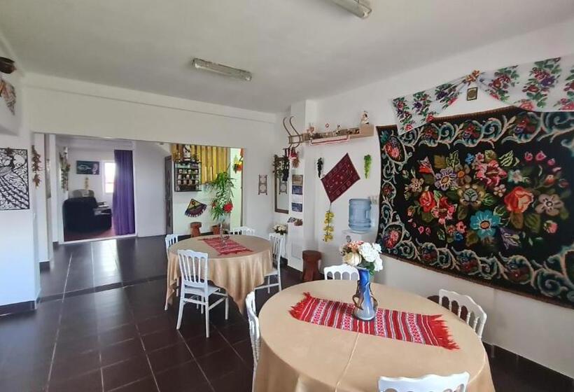 Pensiunea Runcu Stone