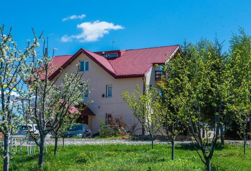 Pensiunea Runcu Stone