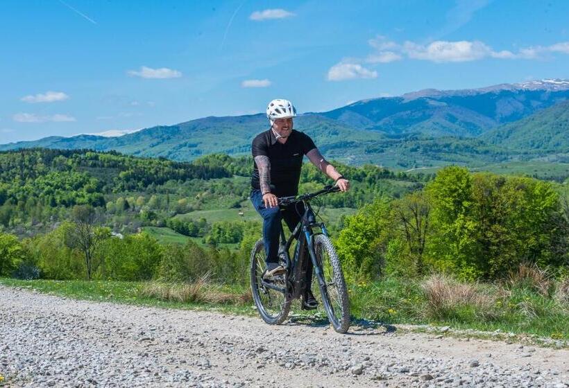 Pensiunea Runcu Stone