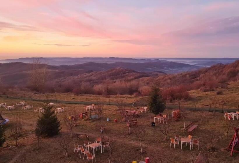 Pensiunea Runcu Stone