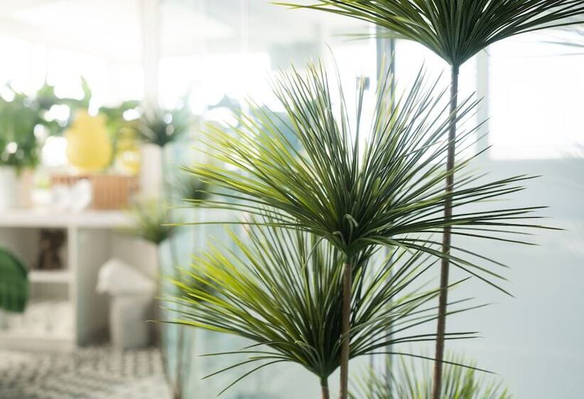 The Business Sleeping Place