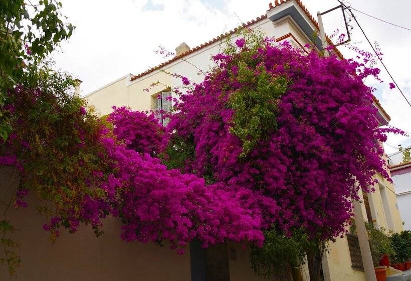 Absolute Athens Acropolis View