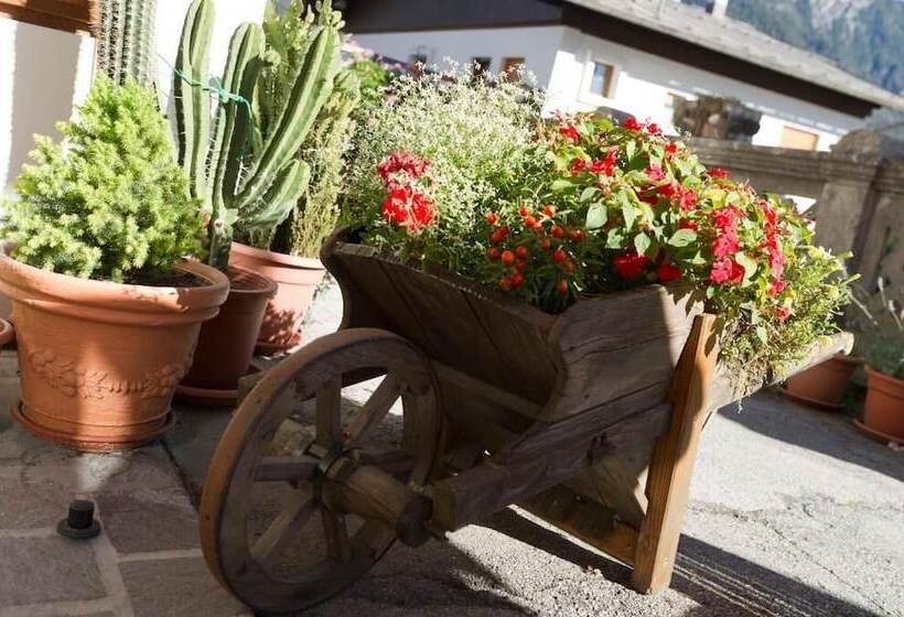 مبيت وإفطار Giardino