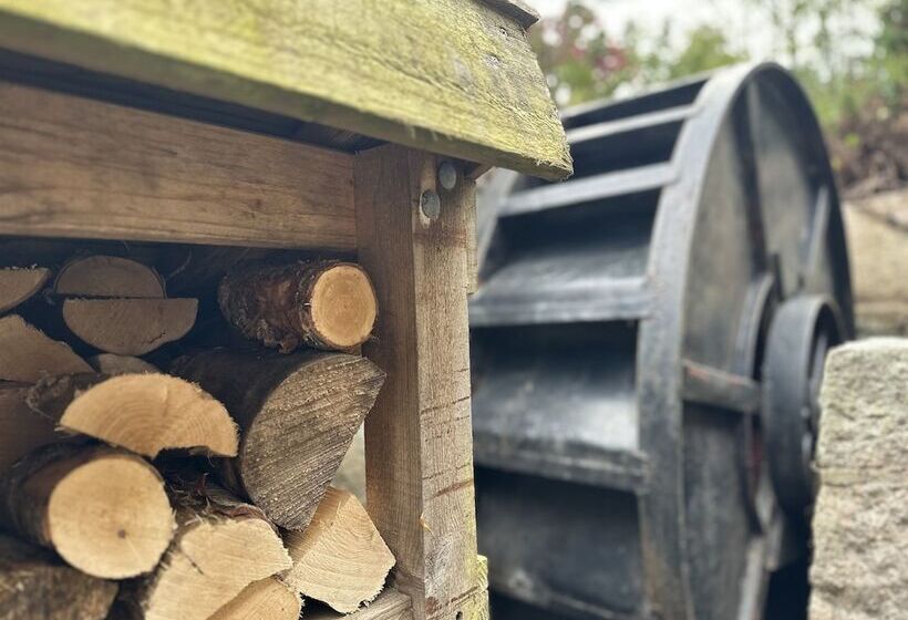 مبيت وإفطار Lurg Lodge