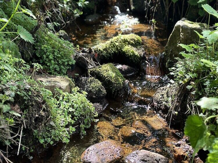 مبيت وإفطار Lurg Lodge