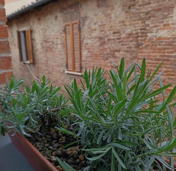 צימר Pagum Place