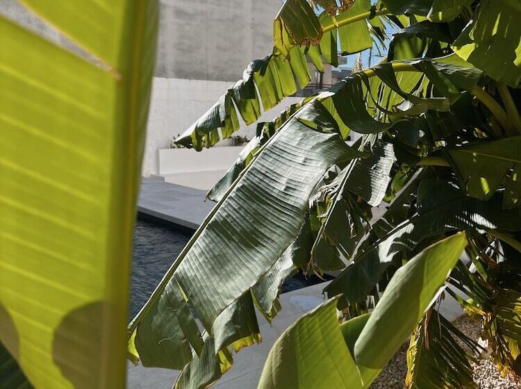 צימר Palazzo Piccinno