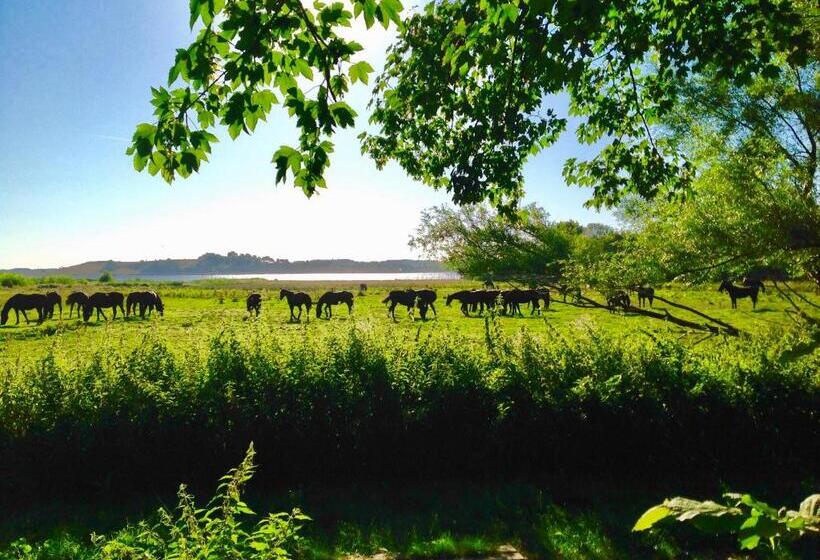 צימר Sebber Kloster