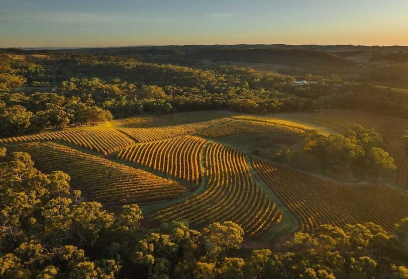 住宿加早餐  Skillogalee Estate