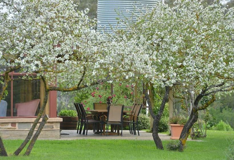 住宿加早餐  Skillogalee Estate