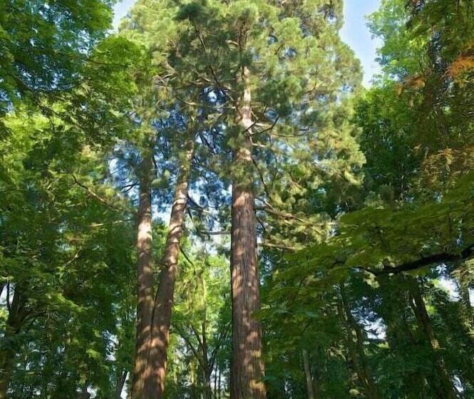 Bed and Breakfast Separé V Zahradě