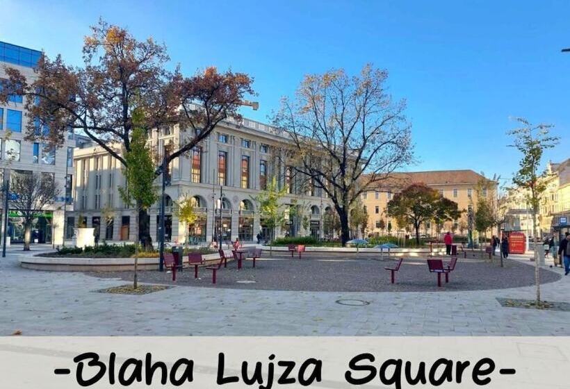 Общежитие Blacksheep Budapest Smart Rooms