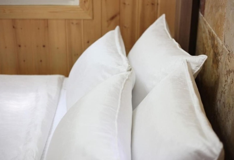 Chuncheon Pet Island Pension