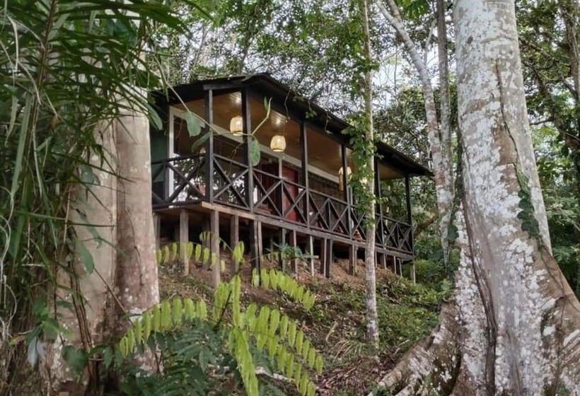 Eco Hotel Aldea   Amazonas