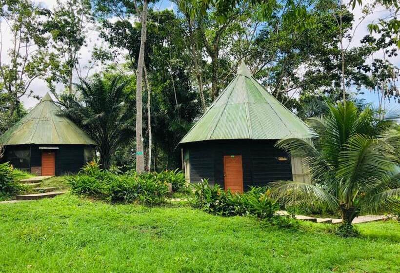 Eco Hotel Aldea   Amazonas